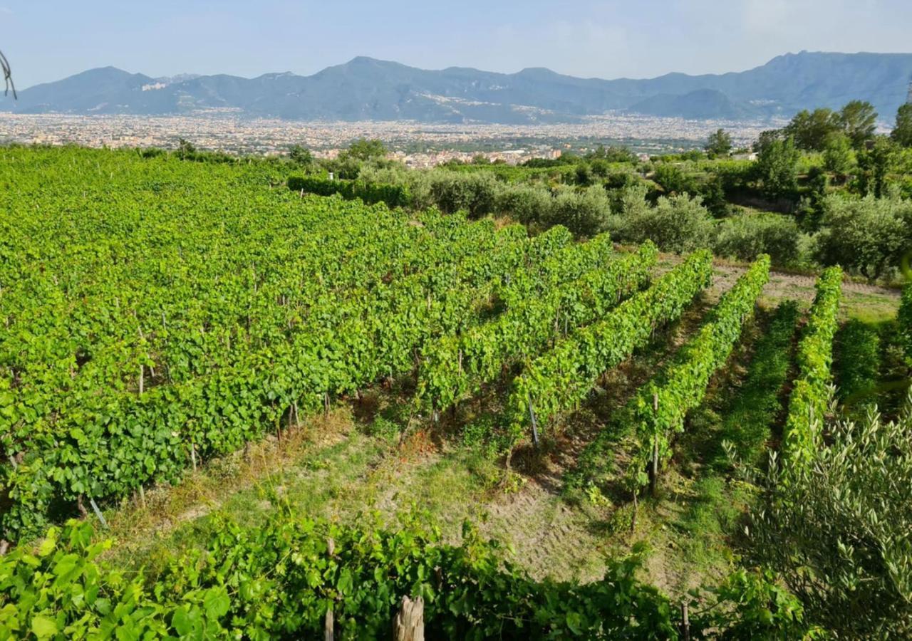 Vesuvio Inn Bed&Wine Experience Boscotrecase Exterior foto