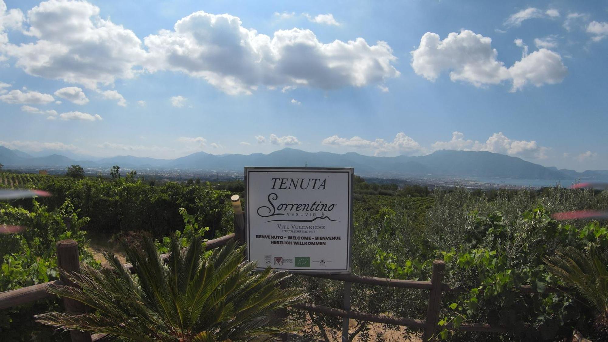 Vesuvio Inn Bed&Wine Experience Boscotrecase Exterior foto