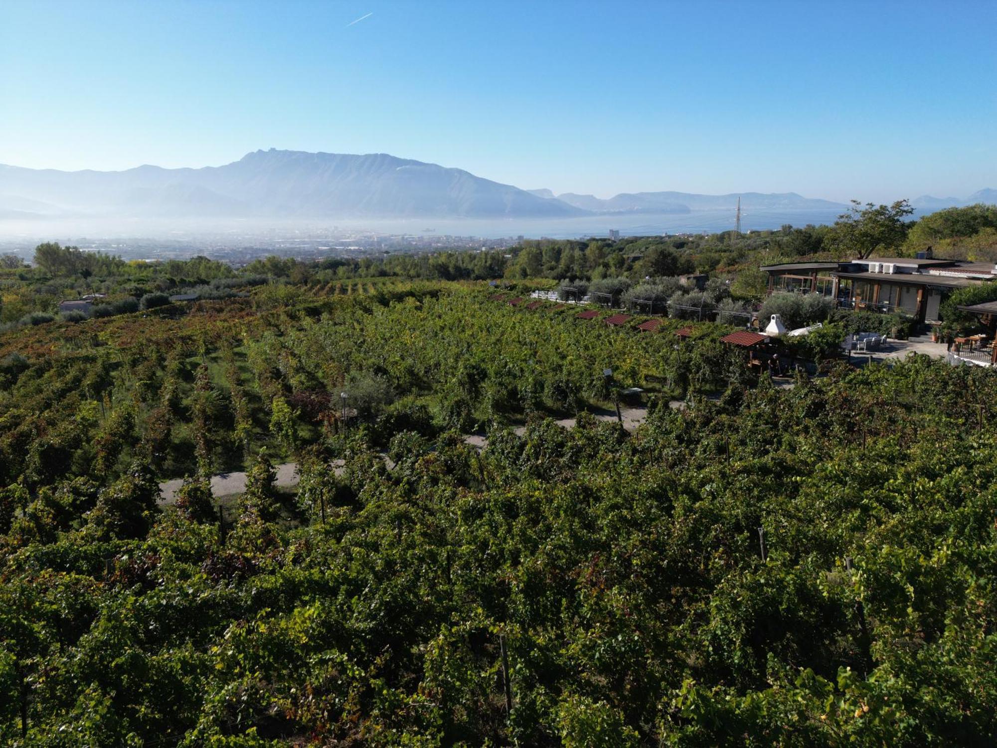 Vesuvio Inn Bed&Wine Experience Boscotrecase Exterior foto