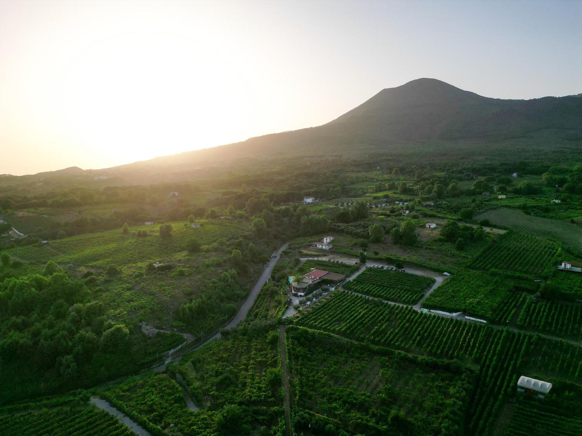 Vesuvio Inn Bed&Wine Experience Boscotrecase Exterior foto