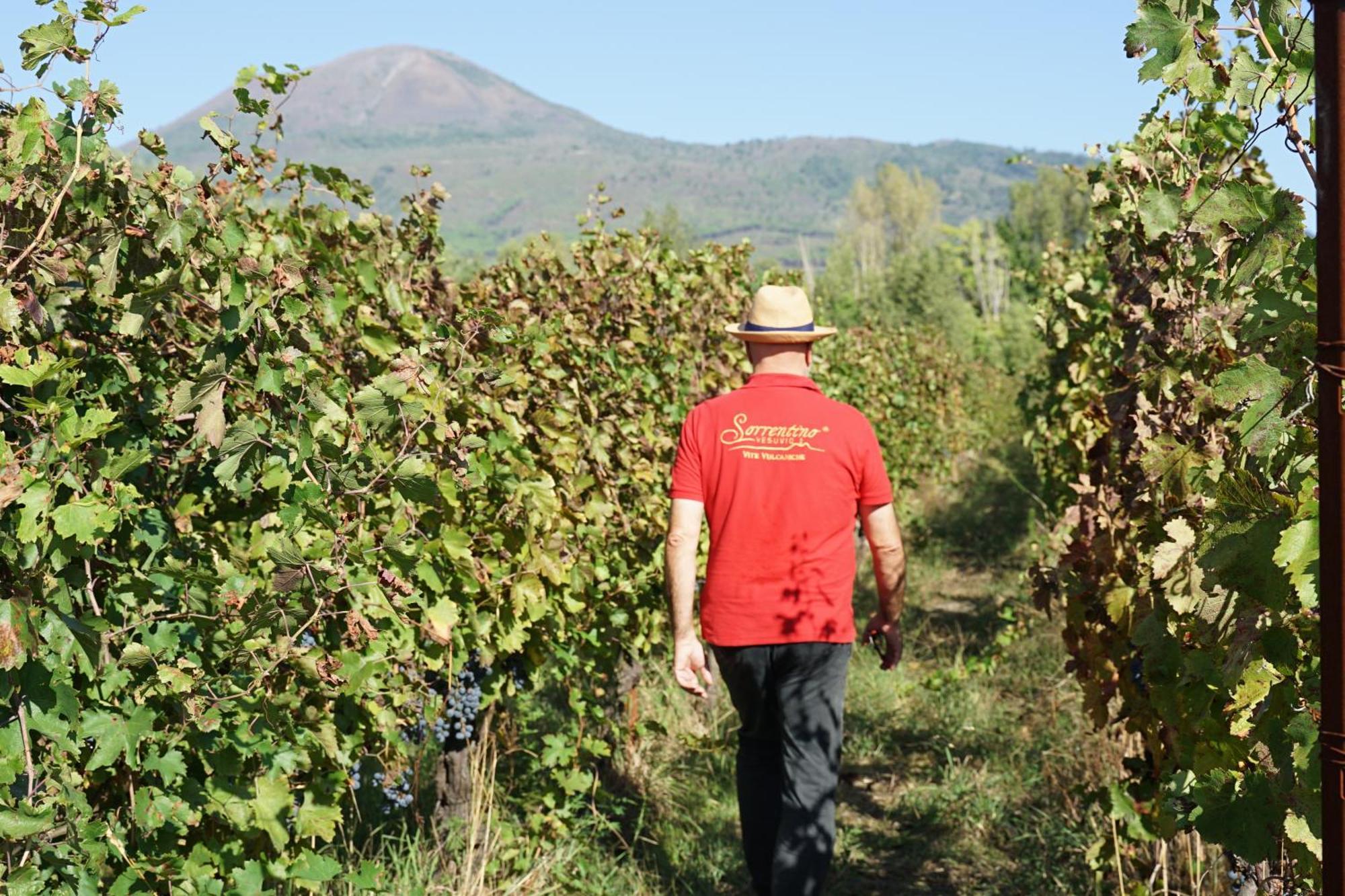 Vesuvio Inn Bed&Wine Experience Boscotrecase Exterior foto