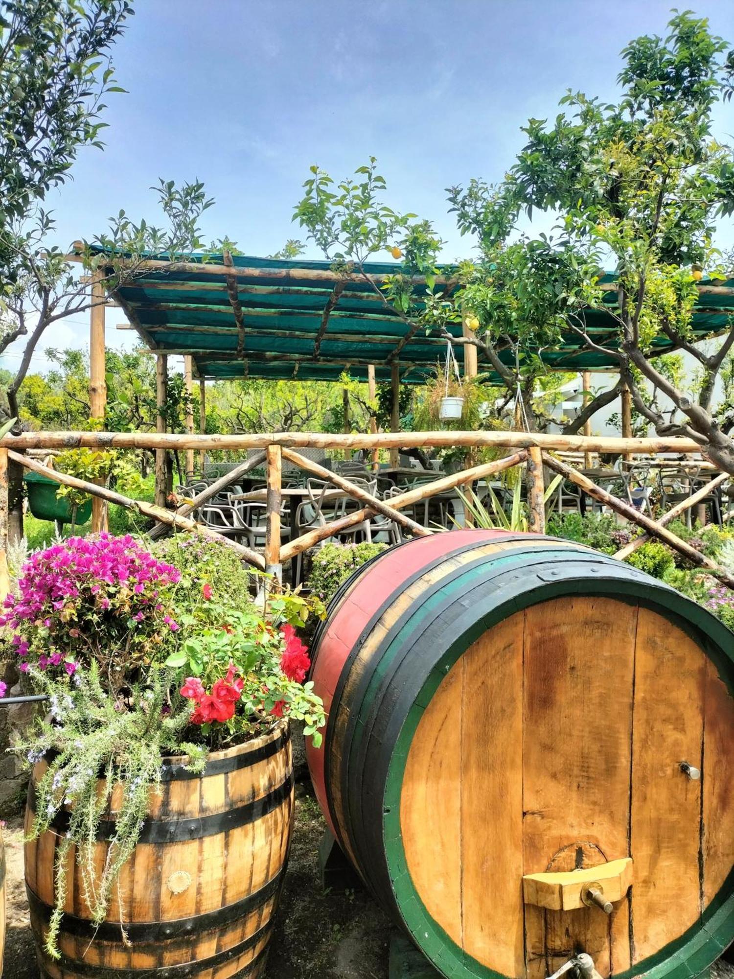 Vesuvio Inn Bed&Wine Experience Boscotrecase Exterior foto