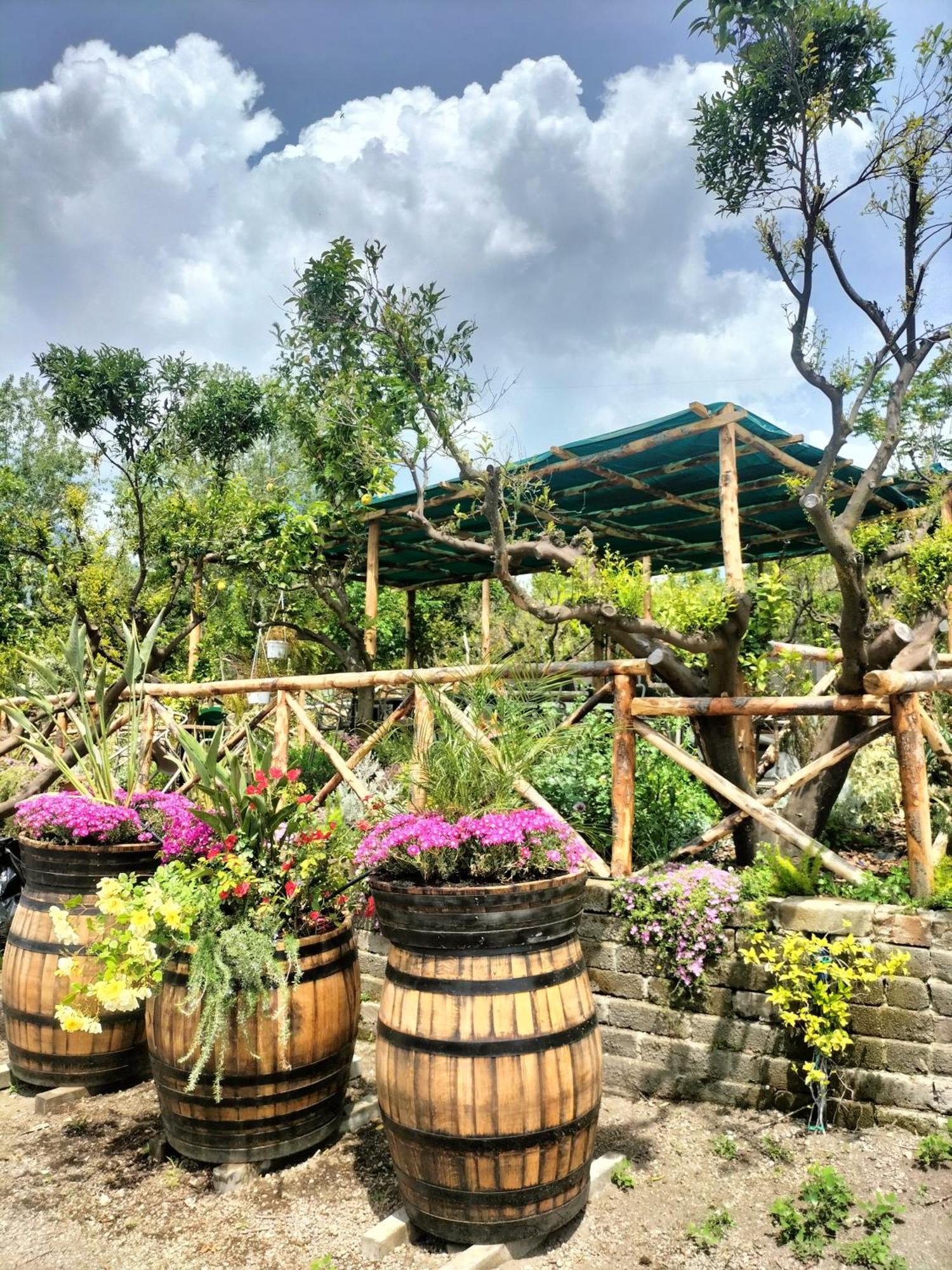 Vesuvio Inn Bed&Wine Experience Boscotrecase Exterior foto